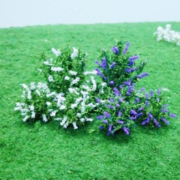 01004 - Buddleias 01004 - Buddleias