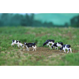 Vaches Holstein noires et blanches Vaches Holstein noires et blanches