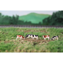 Vaches Holstein noires/brunes et blanches Vaches Holstein noires/brunes et blanches