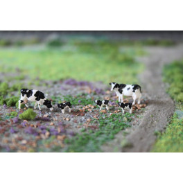 Veaux Holstein noirs et blancs Veaux Holstein noirs et blancs