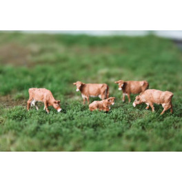 Vaches Limousines Vaches Limousines