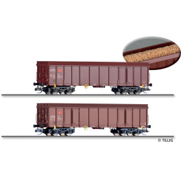 Set de 2 wagons tombereaux Ealos-x 503, DBAG, chargés de sciure - Epoque VI - Echelle TT