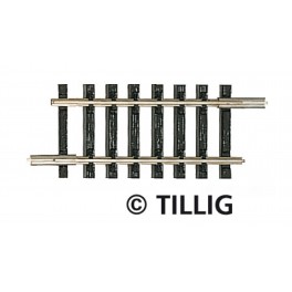 Rail droit G1, 166mm - Echelle TT