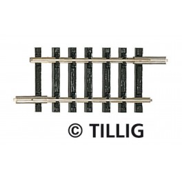 Rail droit G1, 166mm - Echelle TT