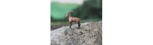 Animaux sauvages